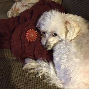 Meet your Posher, Thomas a